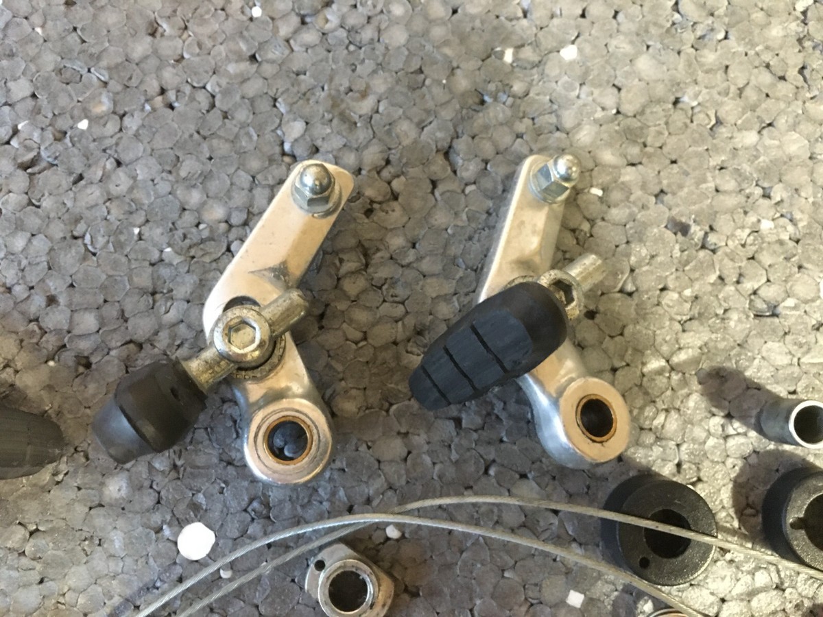 パンデイロ　CONTEMPORANEA CONTEMPORANEA CO-PDMV105C 10