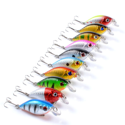 Mini Wobbler Set 10 UltraLight Köder Einzelhaken Forelle Barsch Zite Fishing^