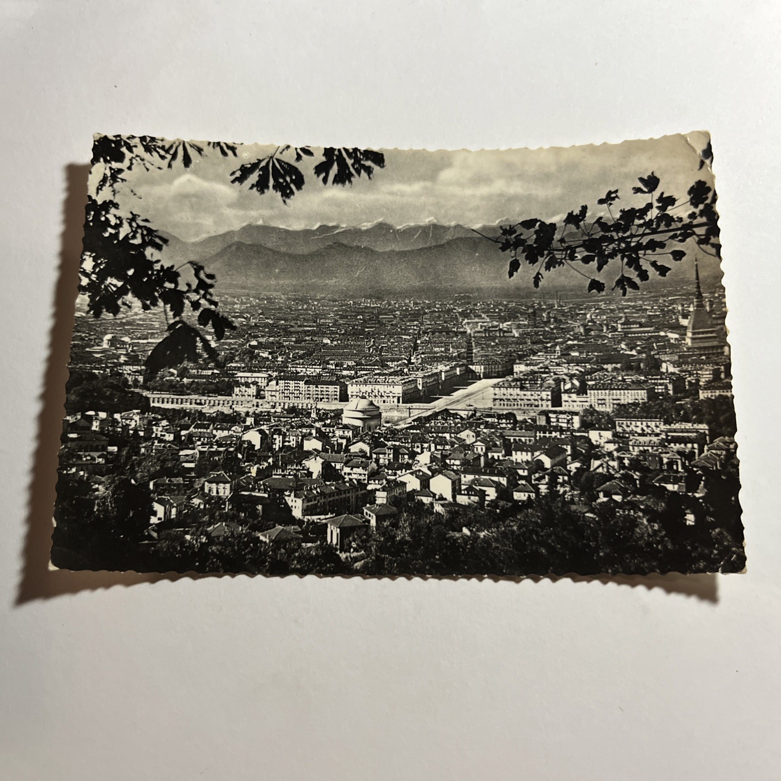 CARTOLINA - CARTE POSTALE - TORINO PANORAMA 1950 VIAGGIATA