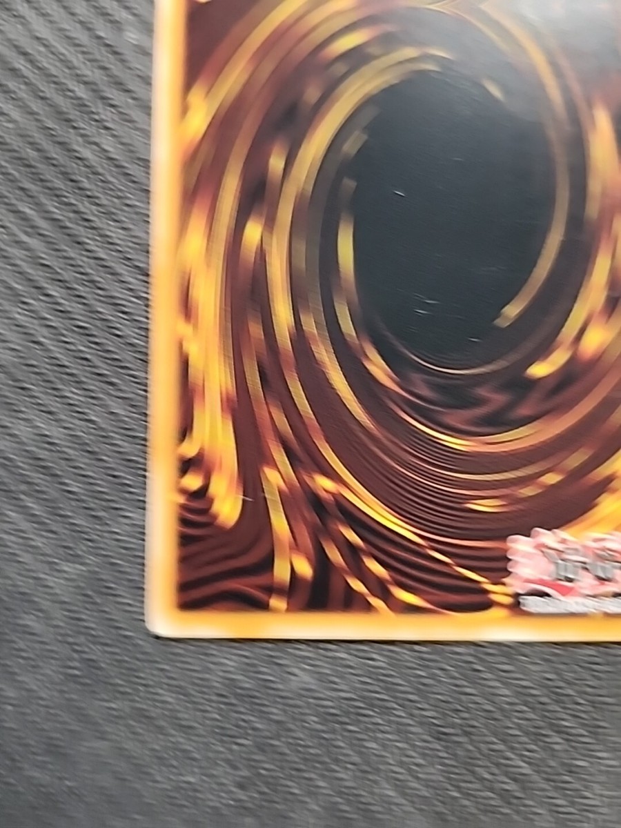 Angel ページ Shiho確認ページ ZX-4RR 2024-2025