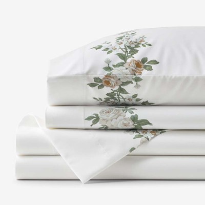 Blooming Melody Border Premium Smooth Wrinkle-Free Sateen Bed Sheet Set - Whi...