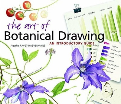 The Art of Botanical Drawing: An Introductory Guide Buch Timber Pr