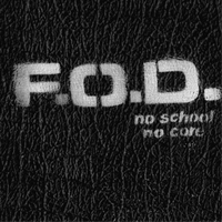 Flag Of Democracy No School No Core (Vinyl) 12\ Album"