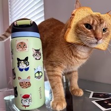 Owala 32oz FreeSip Water Bottle Cat Collage Catwala Urban Outfitters Exclusive