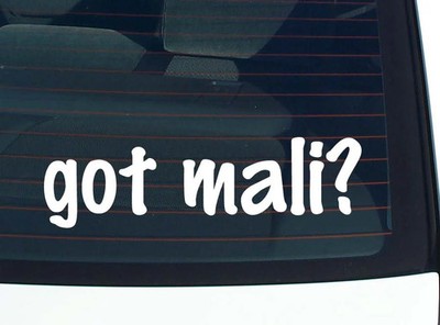 got mali? CAR DECAL BUMPER STICKER VINYL FUNNY JOKE WINDOW