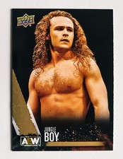 JUNGLE BOY 2021 Upper Deck AEW First Edition Gold #23