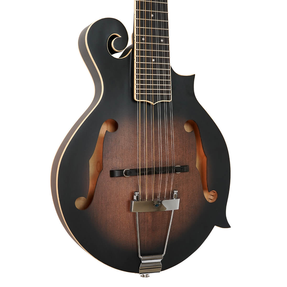 Goldtone F-12 Long Scale Manditar Мандо-Гитара 12-струнная с футляром