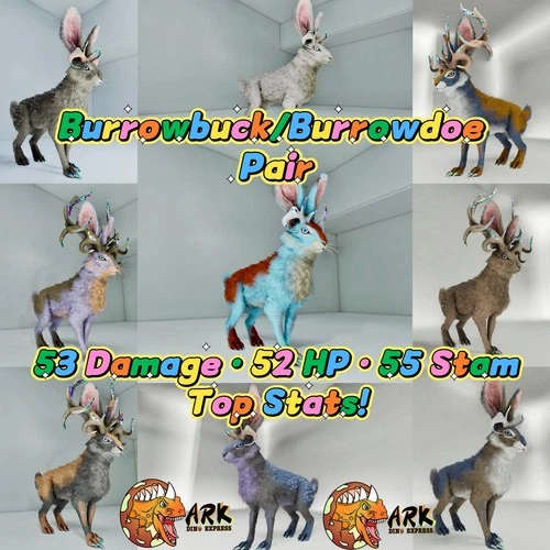 Burrowbuck • Burrowdoe HighLevel Clone ARK? Survival Ascended ASAPVE PC/XBOX/PS