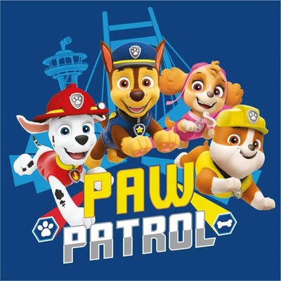 Paw Patrol Team Hand- & Gesichtstuch 30x30 cm
