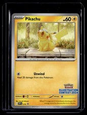 Pikachu Illustration Contest 2024 214 Prices | Pikachu