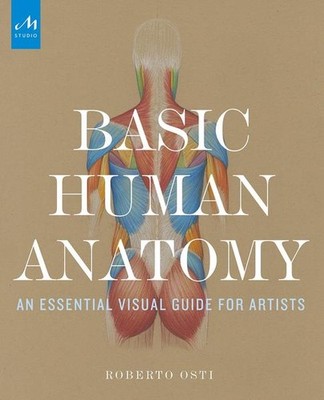 Basic Human Anatomy | Roberto Osti | englisch