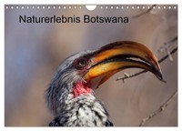 "Calendar 2027 · US Version · Nature Experience Botswana (Wall Calendar 2027 12\""