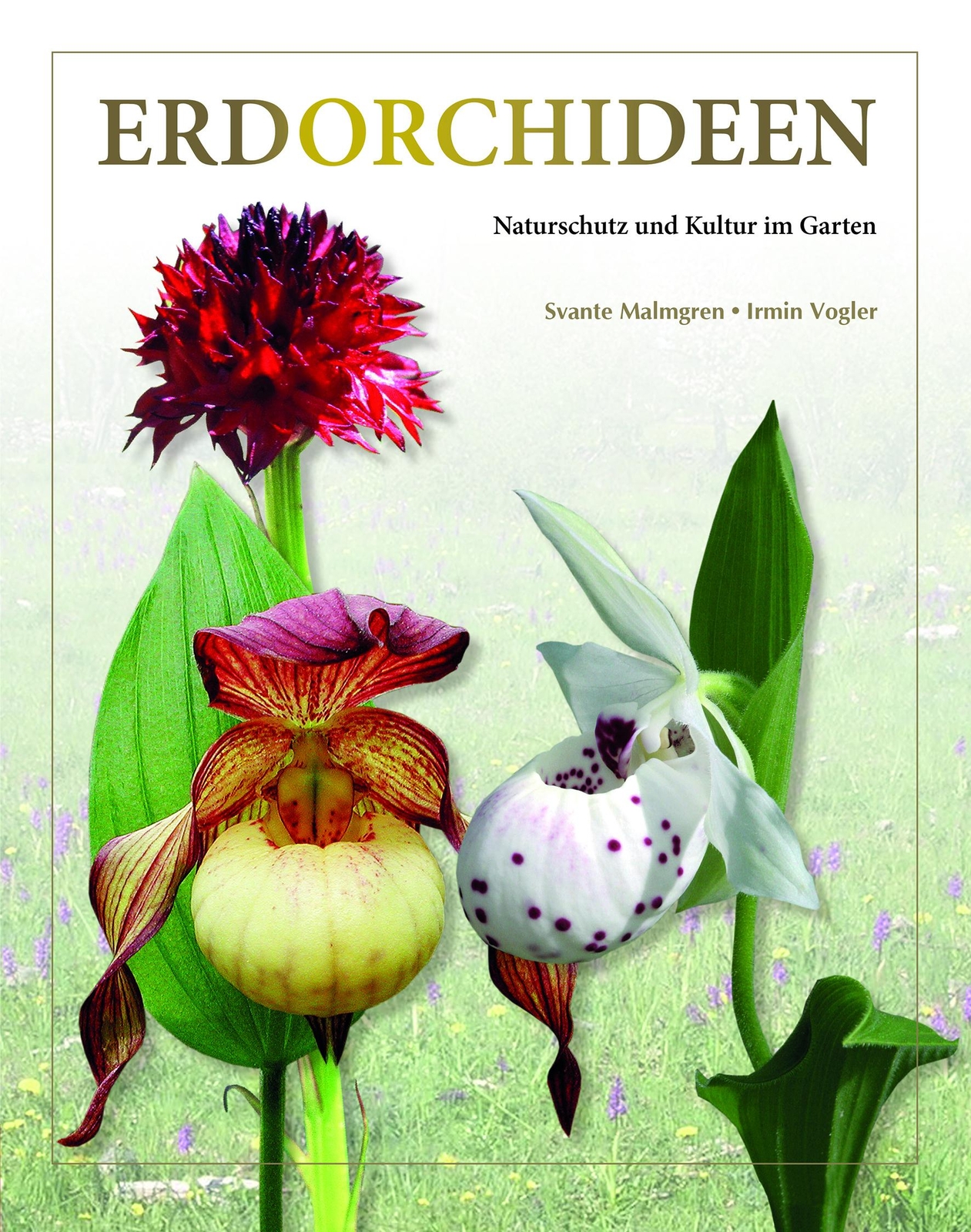 Thumbnail - Erdorchideen | Malmgren, Svante | Vogler, Irmin