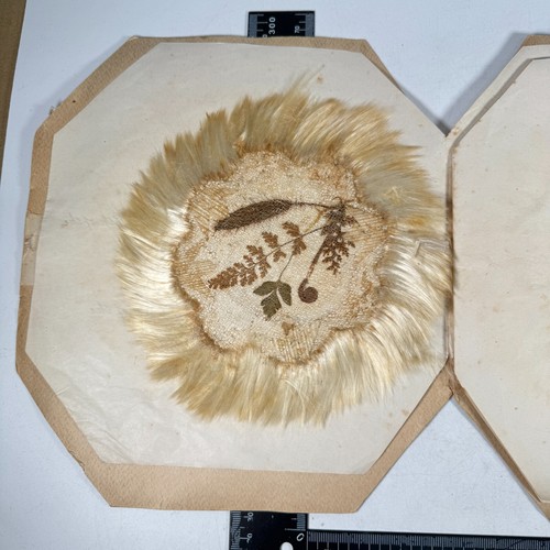 Set 6 No Jamaica Palm, Tree & Fern Doyleys Doilies in Orig Folder Circa 1880s - Picture 7 of 19