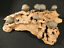 miniature 1  - SIX! Moqui Marbles on a Natural Navajo Sandstone Formation From Utah 2225gr
