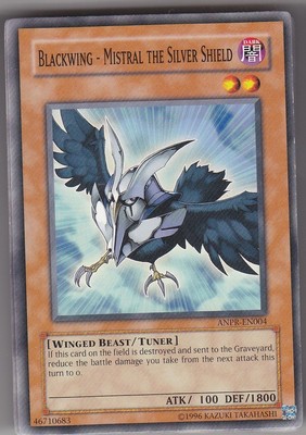 YU-GI-OH Blackwing Mistral the Silver Shield Common englisch ANPR Schwarzflügel