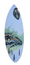 Vintage 2007 Hyperlite Broadcast 49 Wakesurf ...