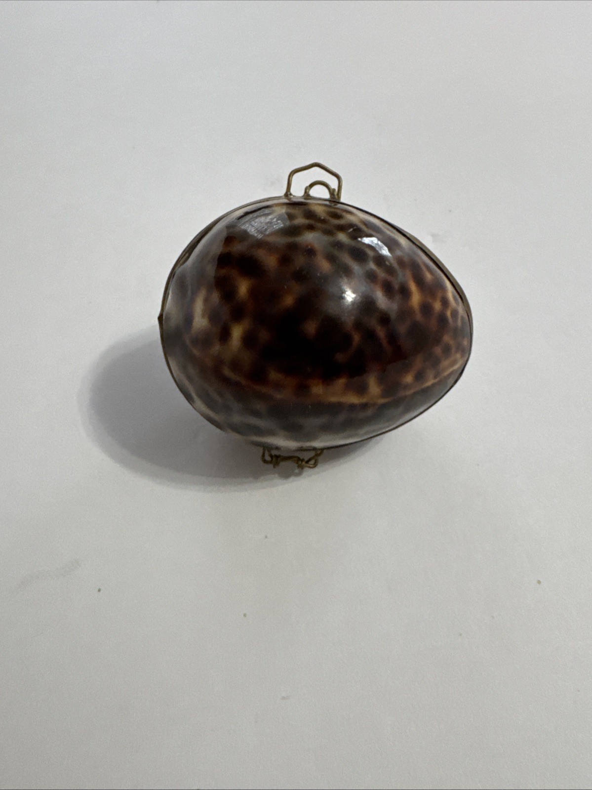 Trinket Box Leopard Cowry Shell Jewelry Box Trinket Box Coin Box Pill Box