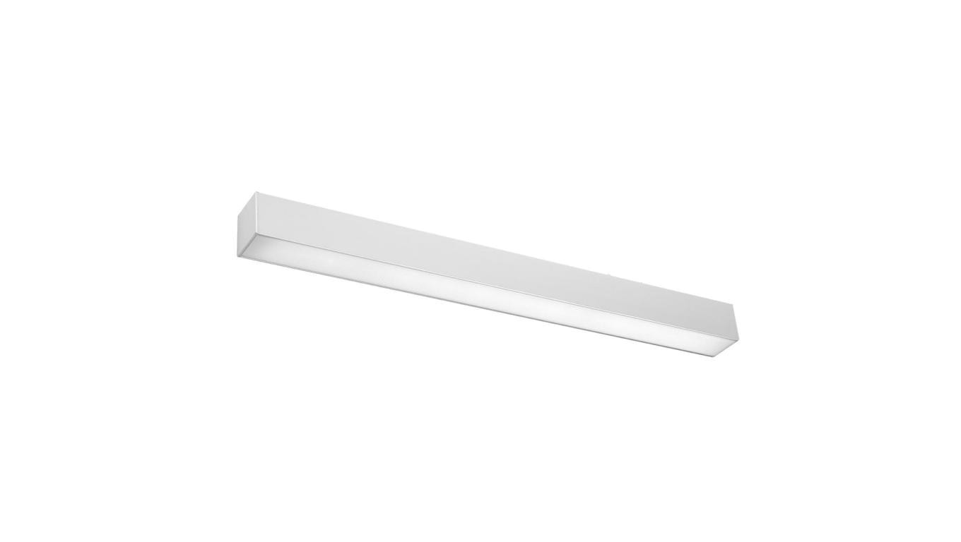 Изгиб СОСНЫ 67-летний 4000К