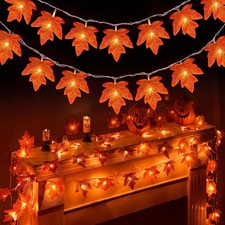Fall Garland with Lights Total 20Ft 40LED Fall Decor
