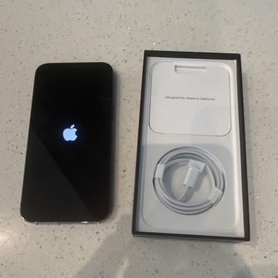 Apple iPhone 12 Pro Max 256GB Gray Unlocked