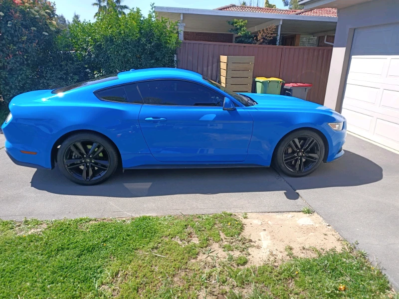 Mustang Ecoboost For Sale Cars Vans Utes Gumtree