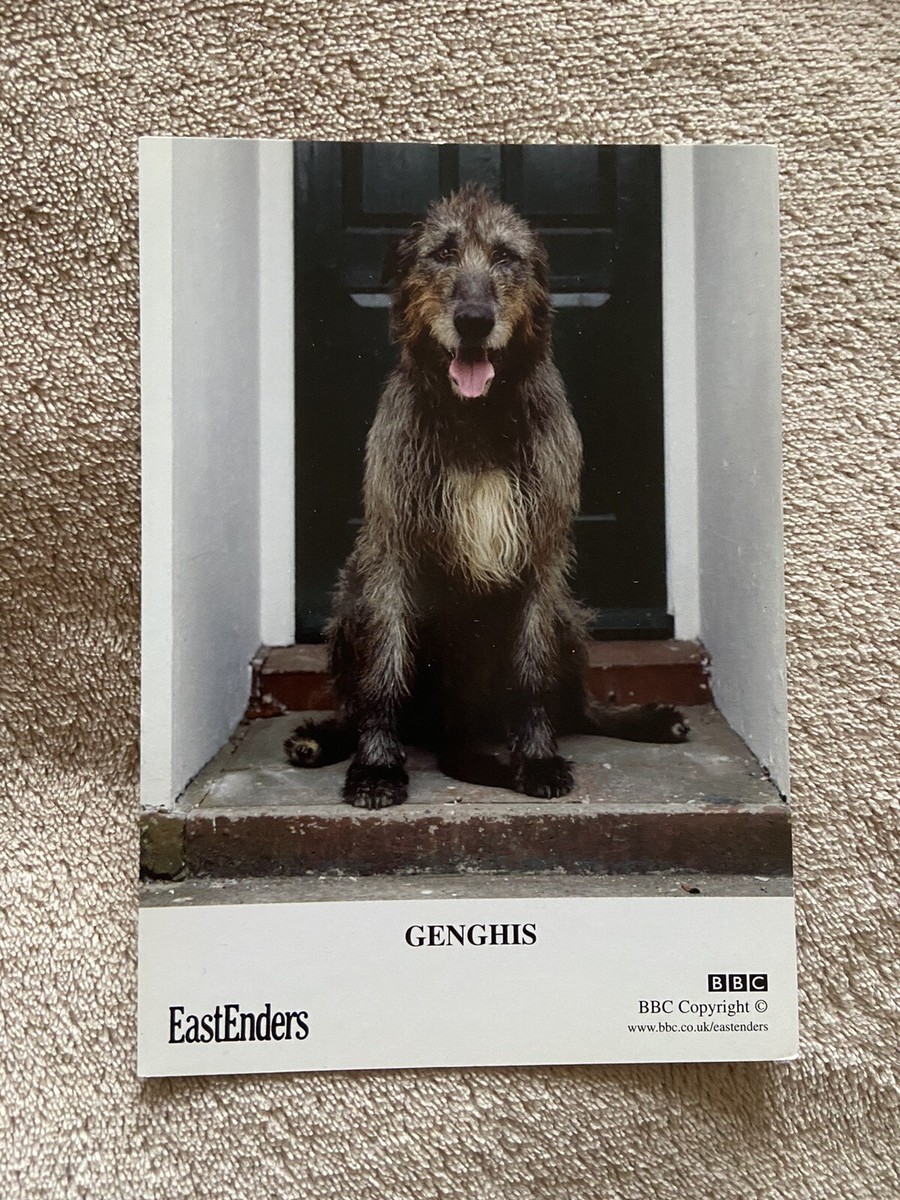 GENGHIS THE DOG (EASTENDERS) RARE UNSIGNED OFFICIAL BBC CAST CARD