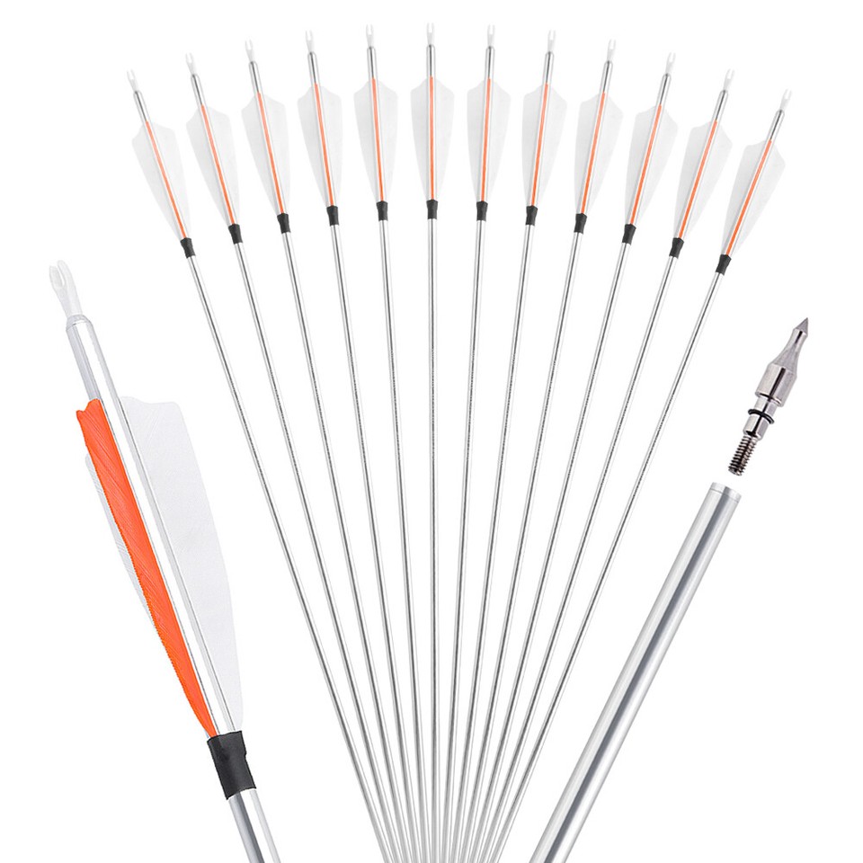 12X Archery Carbon Arrows Targeting Arrows With Replacement Screw-In - Foto 13