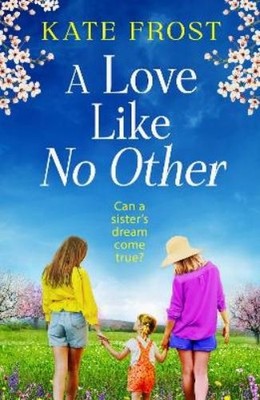 Kate Frost A Love Like No Other (Taschenbuch)