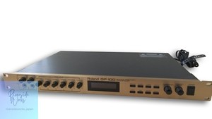 Roland GP 100 | eBay