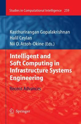 Intelligent and Soft Computing in Infrastructure Systems Engi... - 9783642045851