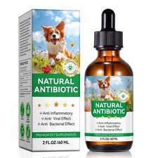 Antibiotics for Dogs, Natural Dog Dogs
