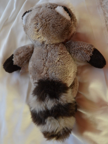 Nici Waschbär ca 15cm hoch - Bild 4 von 5
