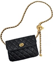 Mini detachable Crossbody belt Bag