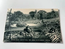 Beaver Group Habitat Hall New Jersey State Museum Trenton Postcard