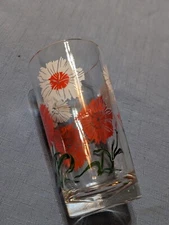 Vintage Boscul Red and White Dianthus Pink Peanut Butter 5" Water Drinking Glass