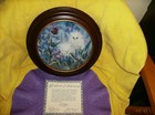 Picture 10 of 11