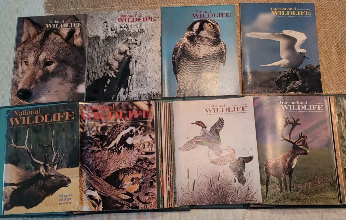 Lot De 23 Magazines National Wildlife - Années 1971-1974, Illustrés, Anglais, Occasion