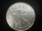 New Listing2020 American Silver Eagle Brilliant Uncirculated .999 Fine Silver Encapsulated
