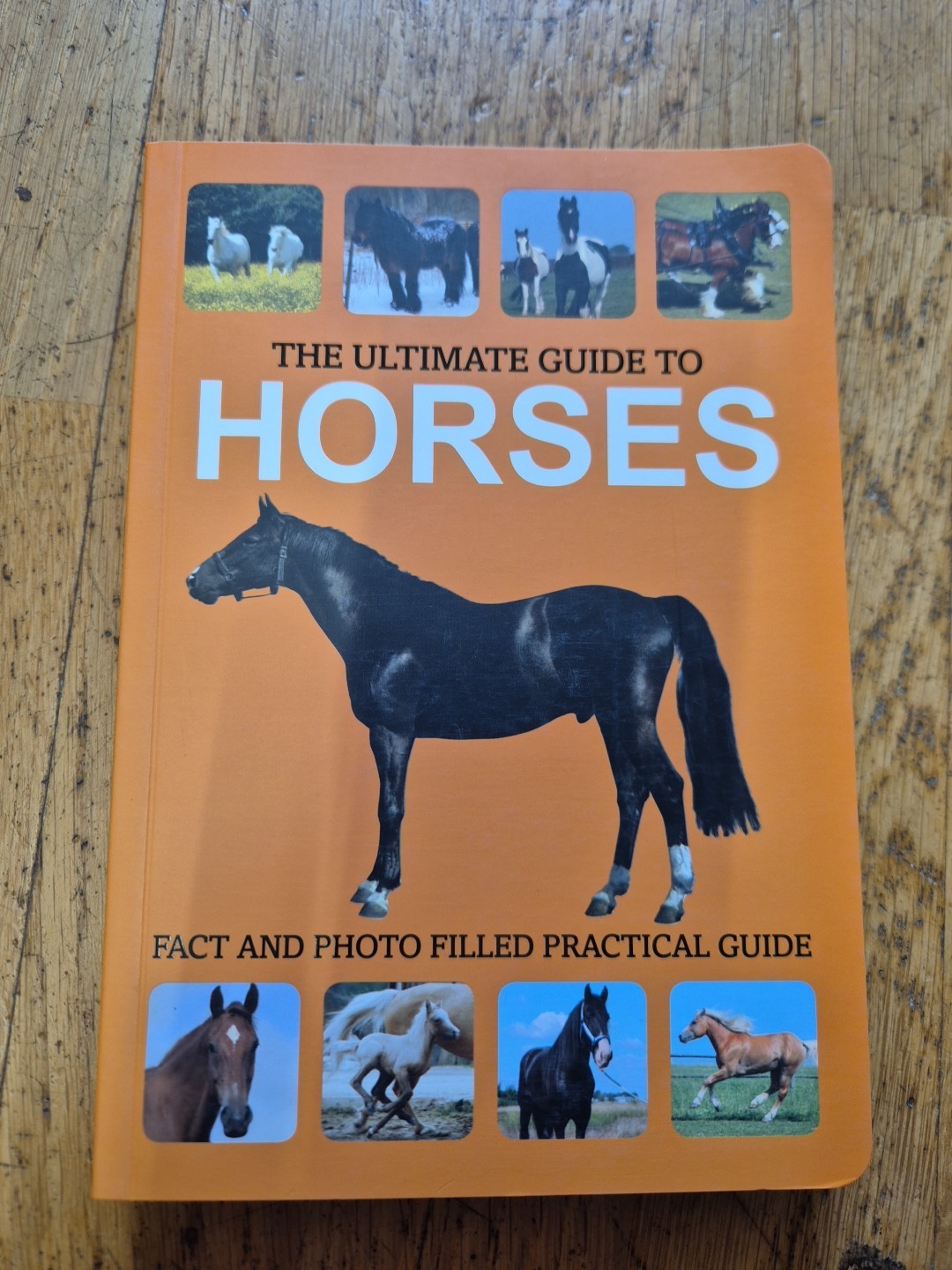 The Ultimate Guide to Horses horse breeds encyclopedia horse fact book pony