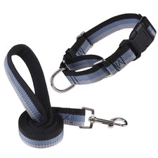 ESGPET Martingale Dog Collar and Leash Set for Walking, Playing, Training, Re...