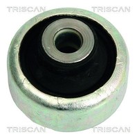 Triscan Lagerung, Lenker Achse, Der, Hinter, Unten, Vorderachse FüR Renault