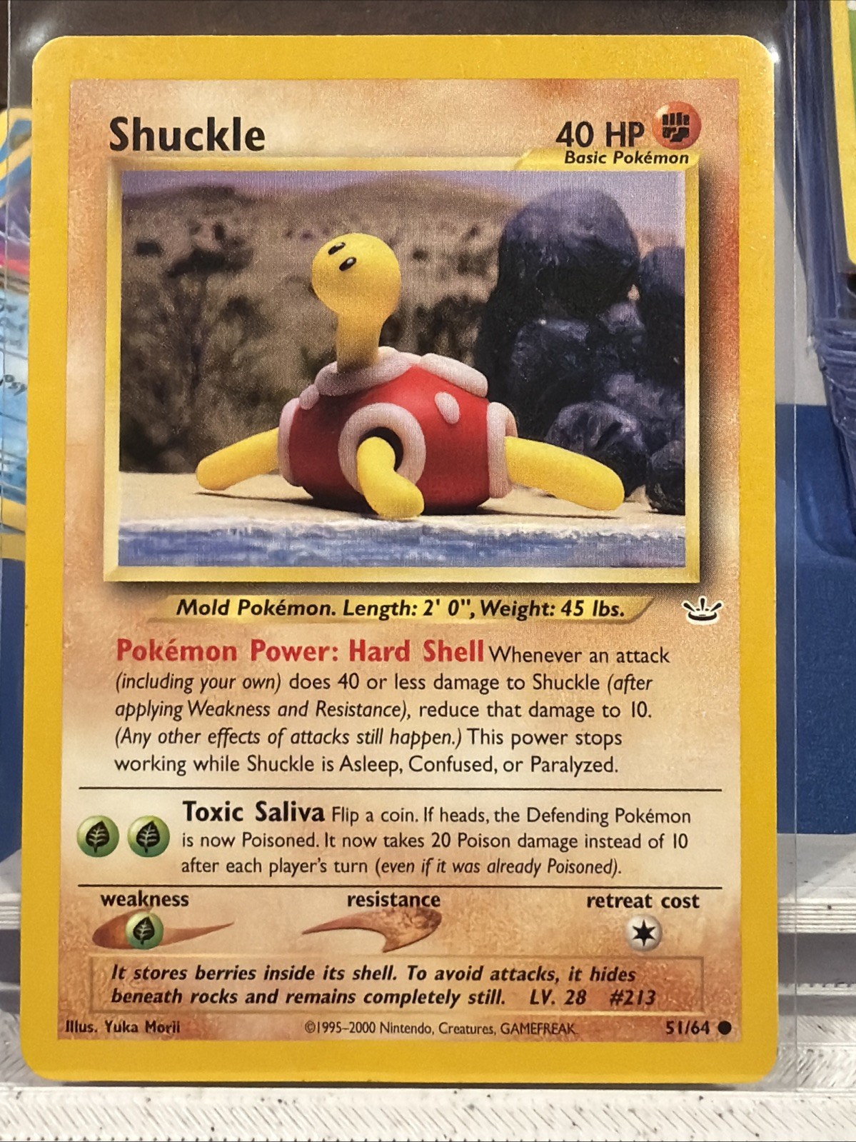 Shuckle 51/64 Neo Revelation Regular
