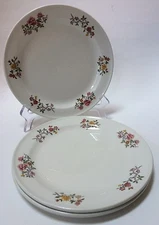 3 Dunn Bennett Co Floral Plates Vitrified Hotel Ware England Royal Doulton Group