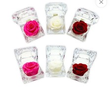 Preserved Rose Box Of 12