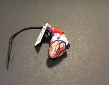 Kitan Club Science Techni Colour Human Body Miniature Heart Model A Strap Figure