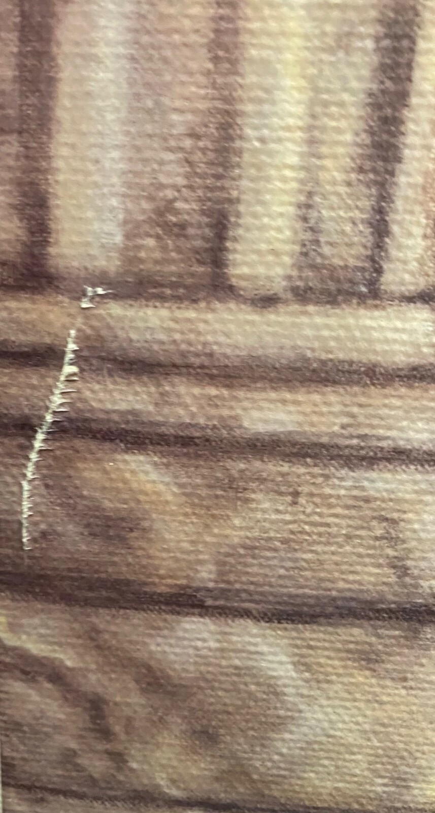 Picture 5 of 5