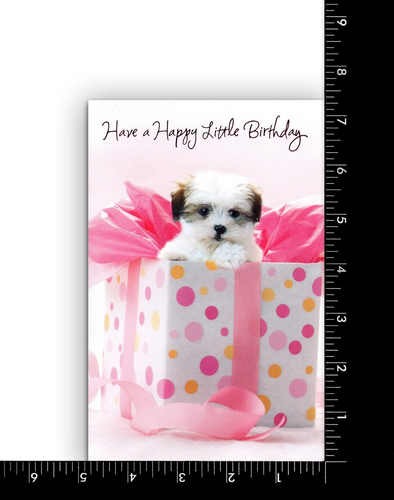 Cute BIRTHDAY Card FOR GIRL, Puppy Dog in Pink Gift Box by American Greetings +✉ - Picture 3 of 5