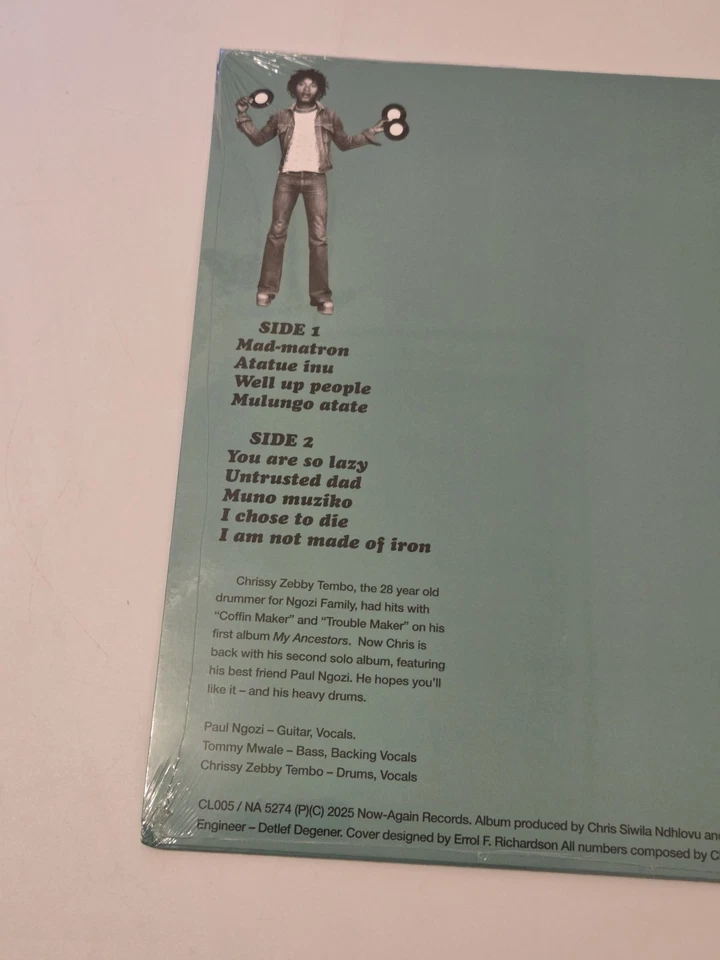 RSD Chrissy Zebby Tembo Ngozi Family I'm Not Made Of Iron Vinyl Record Brand NEW - Image 3 of 3