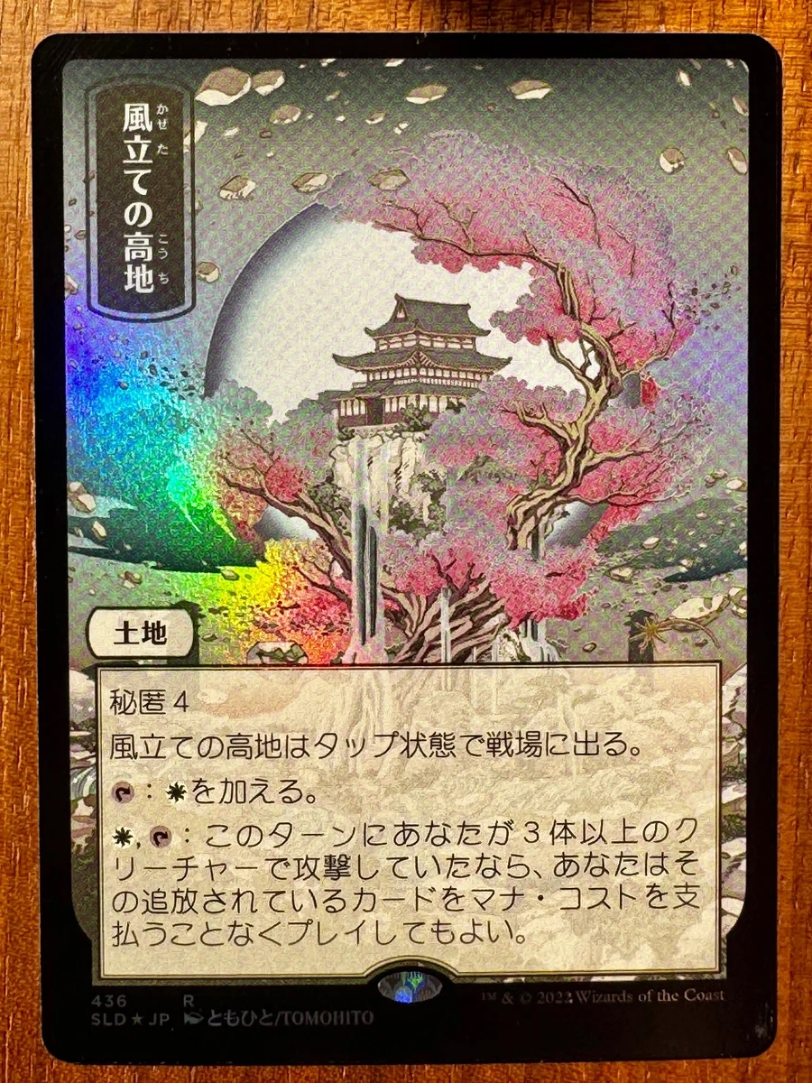 Land Magic: The Gathering Individual Trading Card Games in